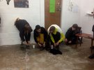 Abendstund hat Gold im Mund | HFBK students' exhibition in London, March 2018; photo: Fiona Grassl