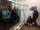 Abendstund hat Gold im Mund | HFBK students' exhibition in London, March 2018; photo: Fiona Grassl