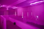 Ein Raum ist komplett in pinkes Licht getaucht.
