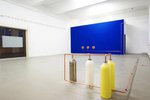 Carlos Leon, »Oro parece, plata no es«, 2017; Foto: Tim Albrecht