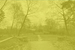 Das Foto eines Platzes in einem Park, gesäumt von Bäumen, ist mit einem gelbstichigen Filter überblendet.