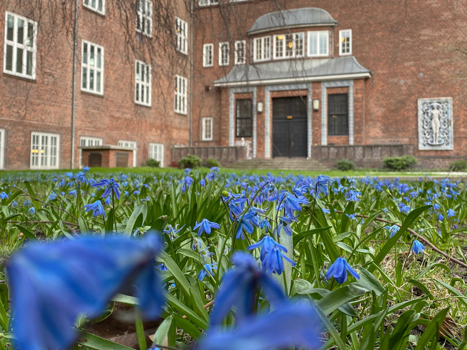 Zwischen blauen Frühlingsblumen hindurch ist der Haupteingang der HFBK Hamburg mit seinem Portal zu erkennen.