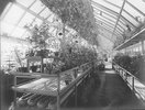 Historische Gebäudeaufnahme der HFBK; Foto: Archiv der HFBK