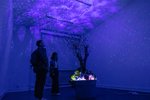 Annual Exhibition 2023, work by Manuel Hafner; photo: Lukes Engelhardt