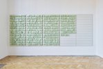 Katharina Ingwersen, zweiteilige Installation: „Directions for bringing over Seeds and Plants from distant Countries (6,50 €)“; Foto: Tim Albrecht