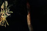 Ausstellungsansicht Klasse Jorinde Voigt: Werk von Luc Pommet