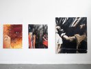 Ausstellungsansicht Klasse Werner Büttner: Despoina Pagiota