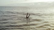 Marvin Hesse, »Wir Kinder von Gomera« (D 2017, Dokumentarfilm, HD, Farbe, 60 Min.); Filmstill