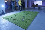 Der Kelllerraum ist in blaues Licht getaucht. Auf dem Boden ist eine Matte als Kunstrasen ausgelegt. Darauf erheben sich fest wie Blumen QR-Codes an Stängeln. Im Hintergrund sind Menschen zu sehen. Zwei von ihnen sitzen und schauen auf eine Leinwand am anderen Ende des Raumes und schauen eine Videoarbeit an.