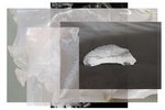 Transparenzen - Galerie Genscher