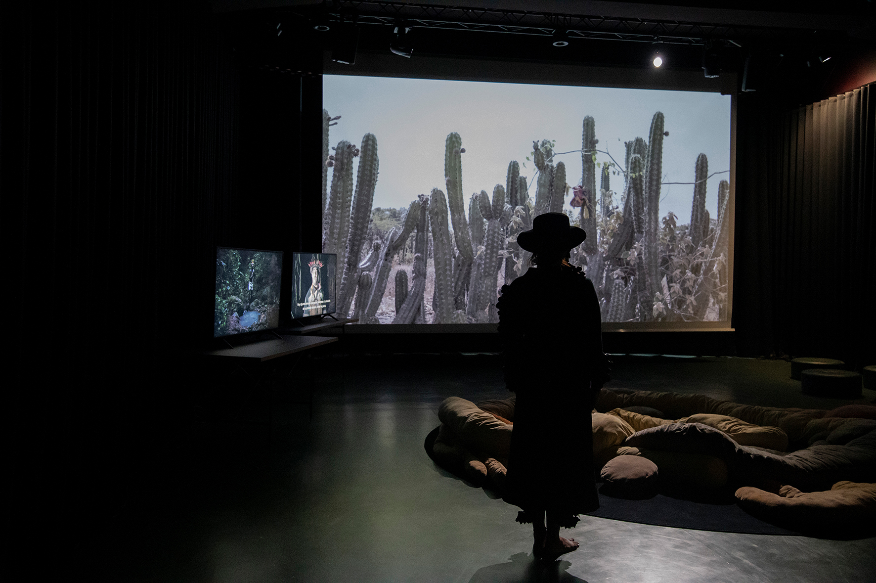 A person wearing a hat stands in silhouette in a darkened room facing a large projection of cacti in a landscape. Two smaller monitors displaying additional video works are visible on the left, with floor cushions arranged in front of the screen.